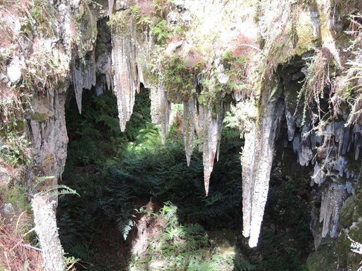 Furcy Gruta, Haiti