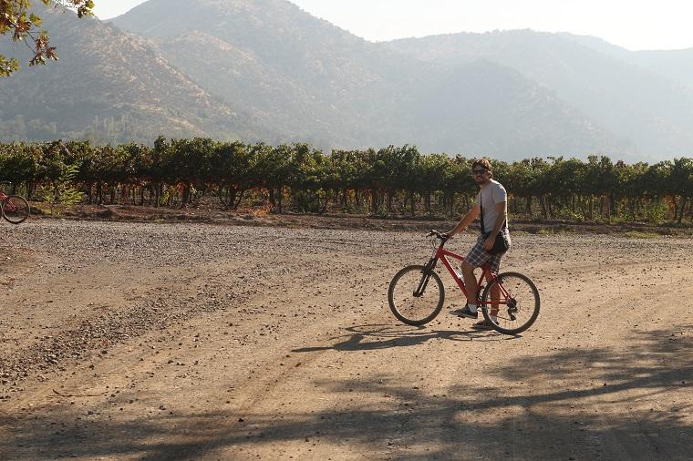 passeio de bicicleta na Vinícola santa Rita, Chile