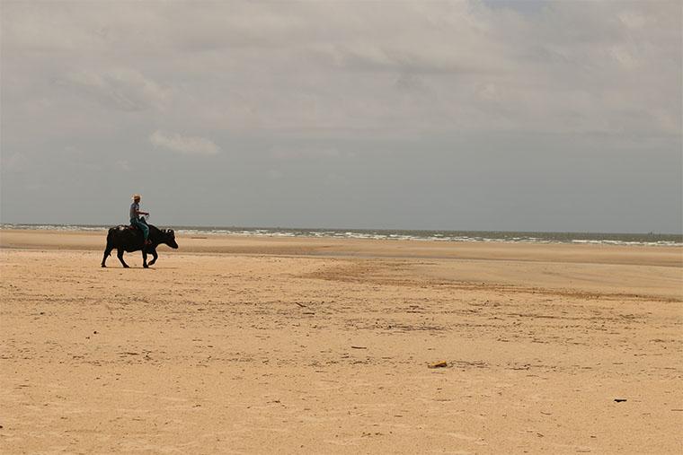 Ilha do Marajó, Pará