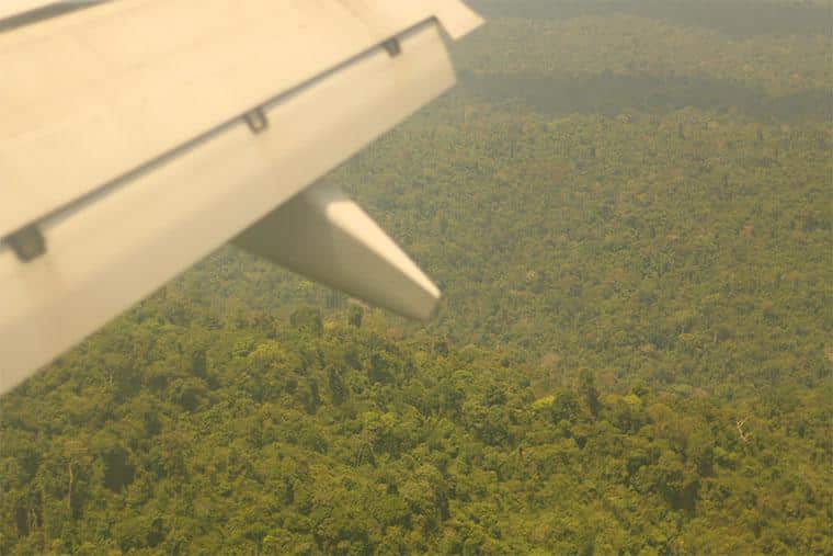 amazônia, Pará