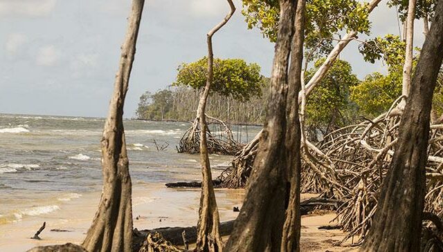 Turismo Pará