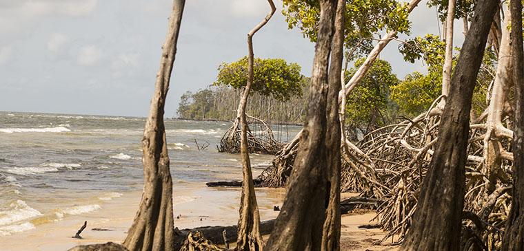 Turismo Pará