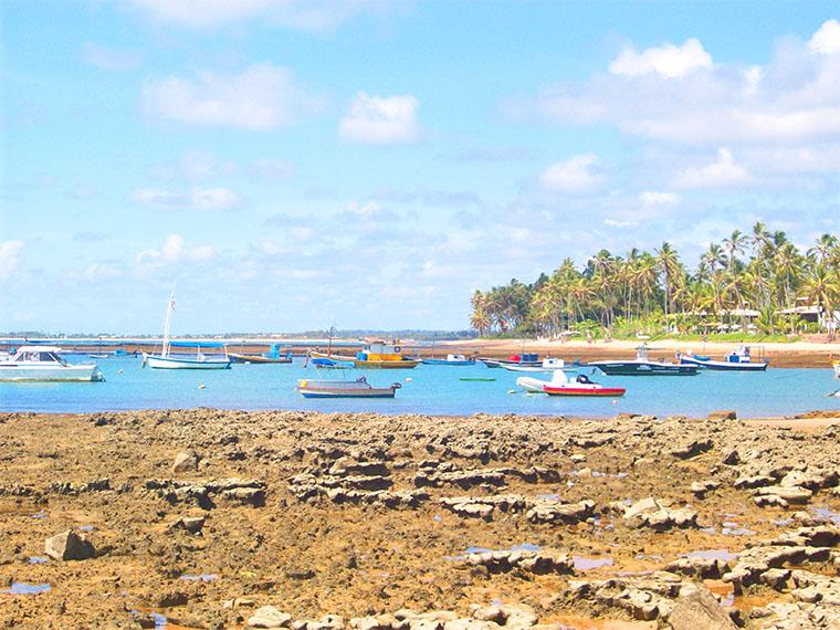 Praia do Forte, na Bahia