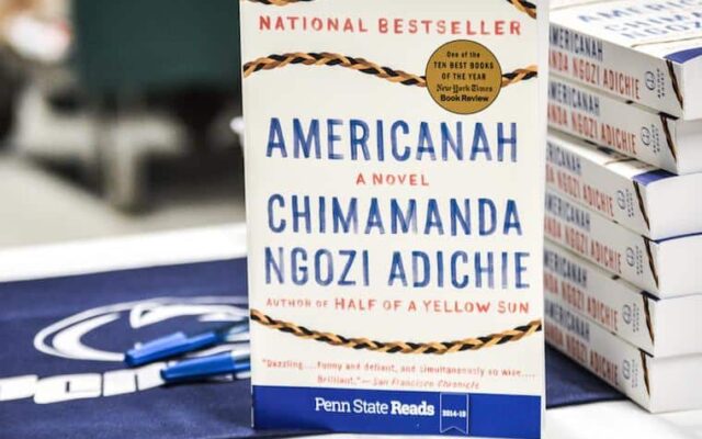 Americanah - Livro de Chimamanda