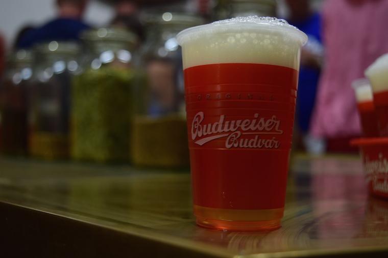 Budweiser budvar cerveja tcheca