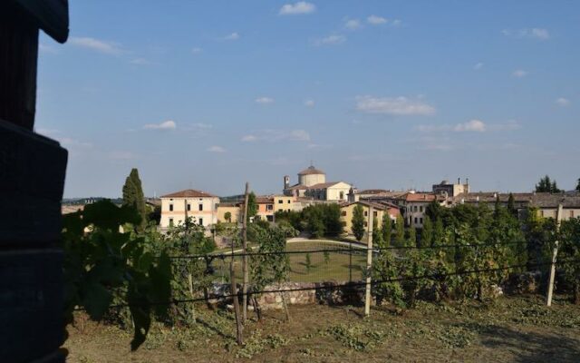 vinicolas lombardia itália