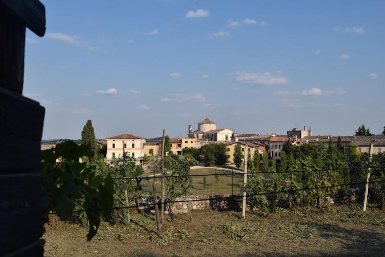 vinicolas lombardia itália