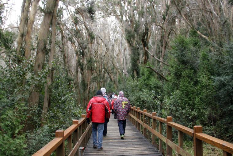 Bosque Arrayanes - Bariloche