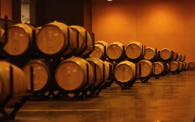 bodega torres