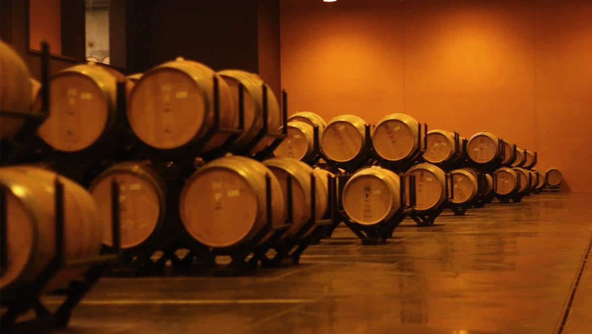 bodega torres