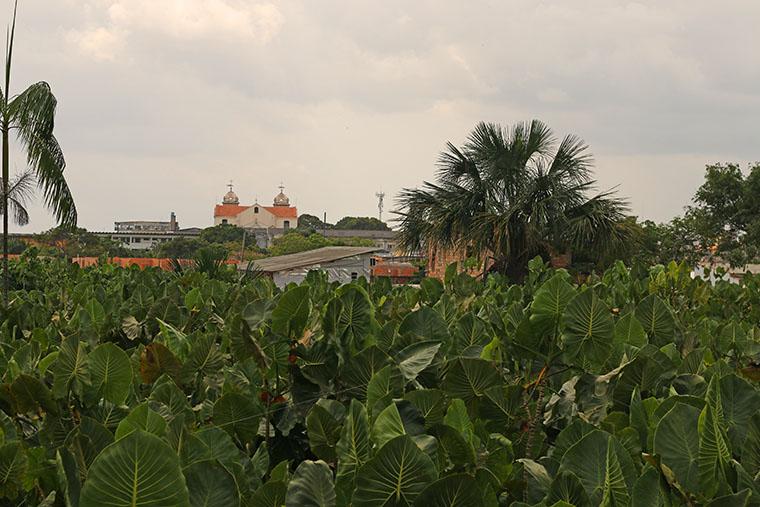 Onde comer em Belém