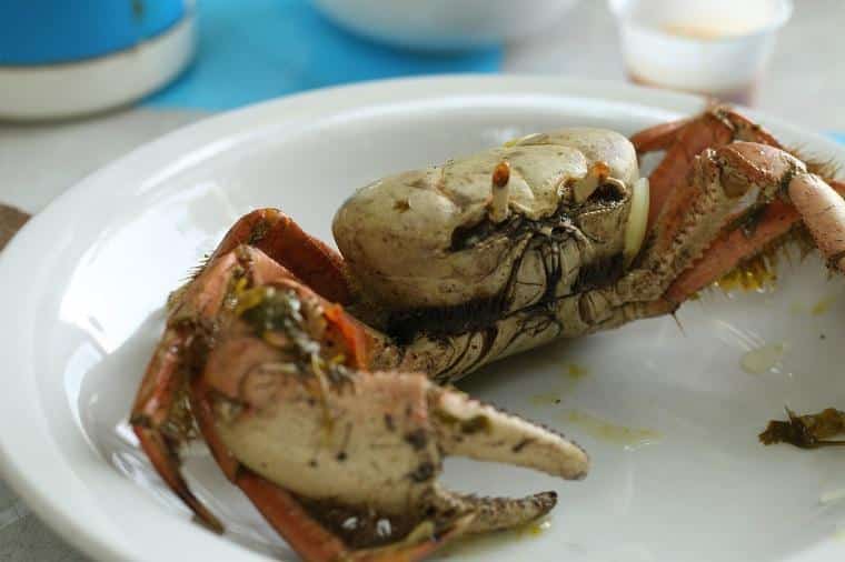 Onde comer em Belém do pará