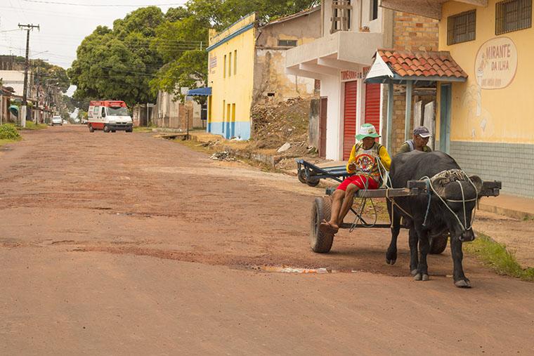 Ilha do Marajó, Pará