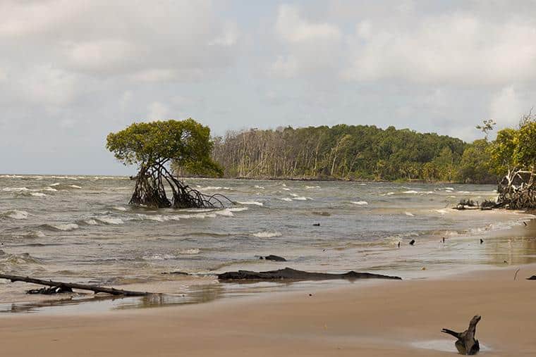 Ilha do Marajó, Pará