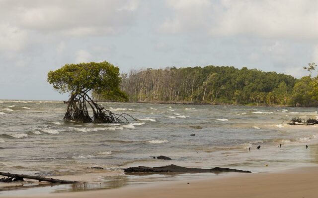 Turismo na Ilha do Marajó