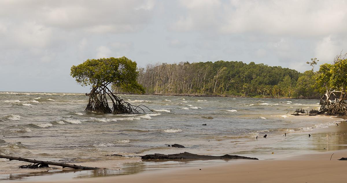 Turismo na Ilha do Marajó