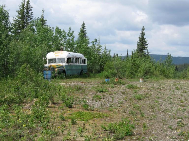 bus-into-the-wild-768x576