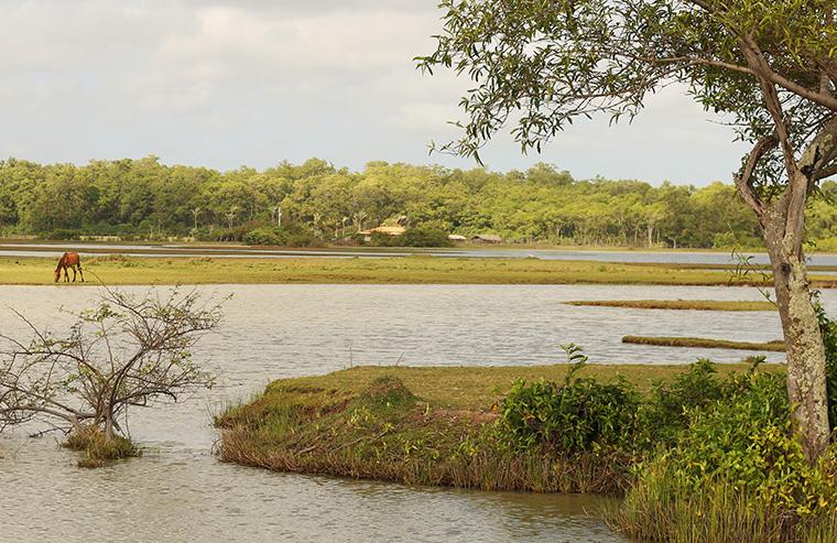 Ilha do Marajó, pará