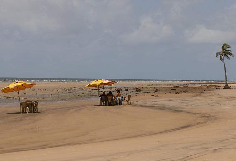 O que fazer na Ilha do Marajó