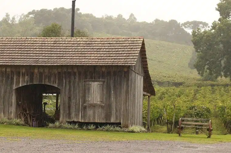 Roteiros de Viagem pelo Sul do Brasil