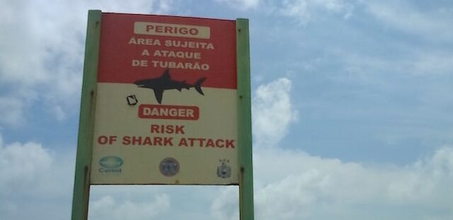 placa tubarões em recife