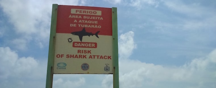 placa tubarões em recife