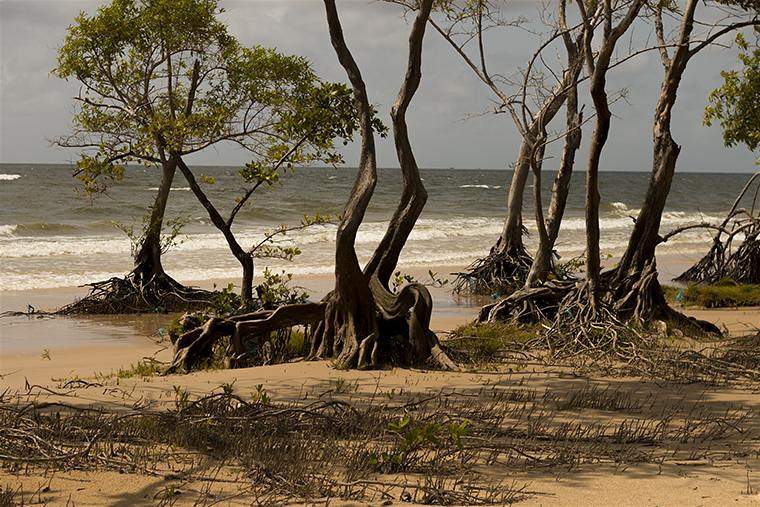 Ilha do Marajó no Pará