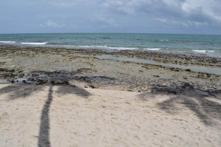 praia de caneiros piscinas naturais