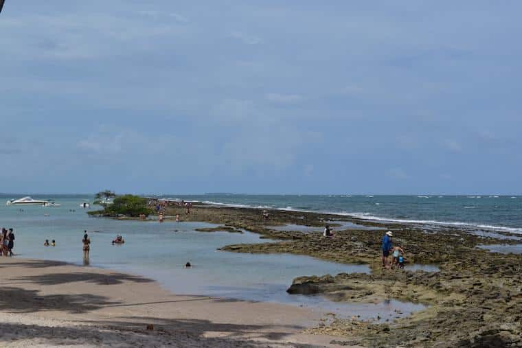 praia dos carneiros piscinas naturais