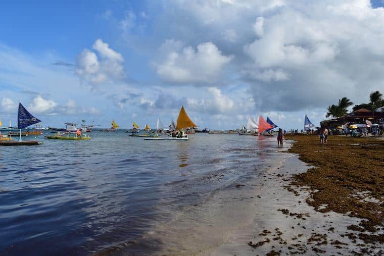 praias de pernambuco brasil jangadas porto de galinhas