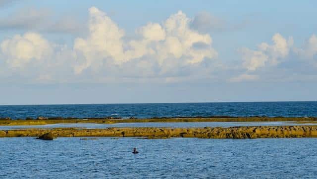 recifes e piscinas naturais pernambuco