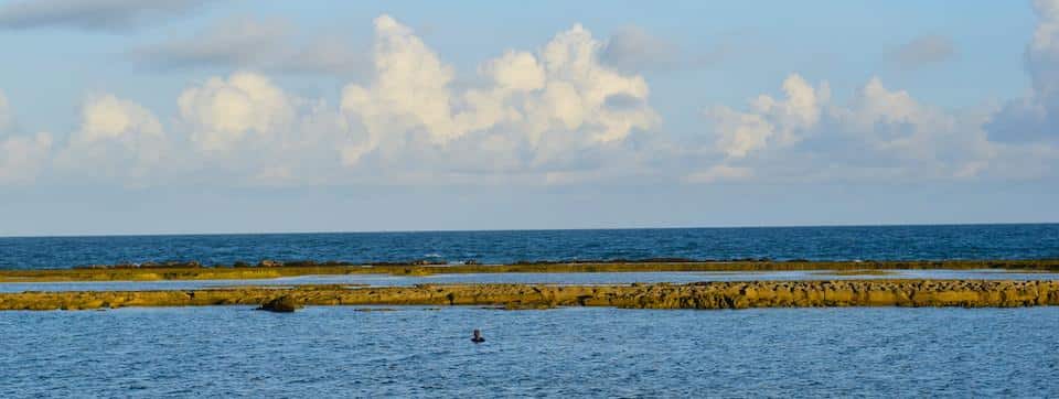 recifes e piscinas naturais pernambuco
