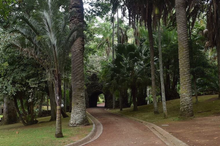 ponta delgada açores jardim