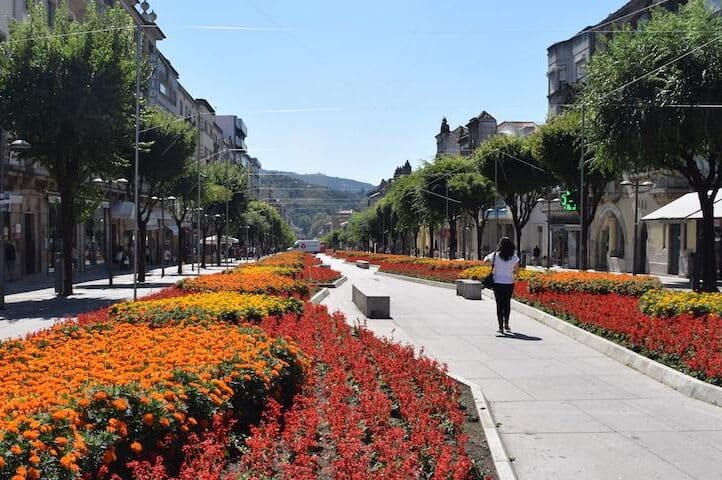 braga portugal avenida liberdade