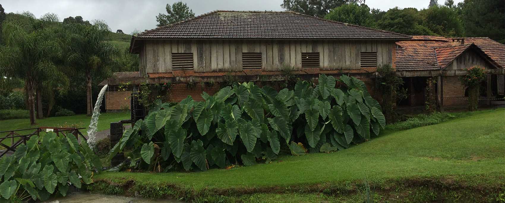Onde comer no Vale dos Vinhedos