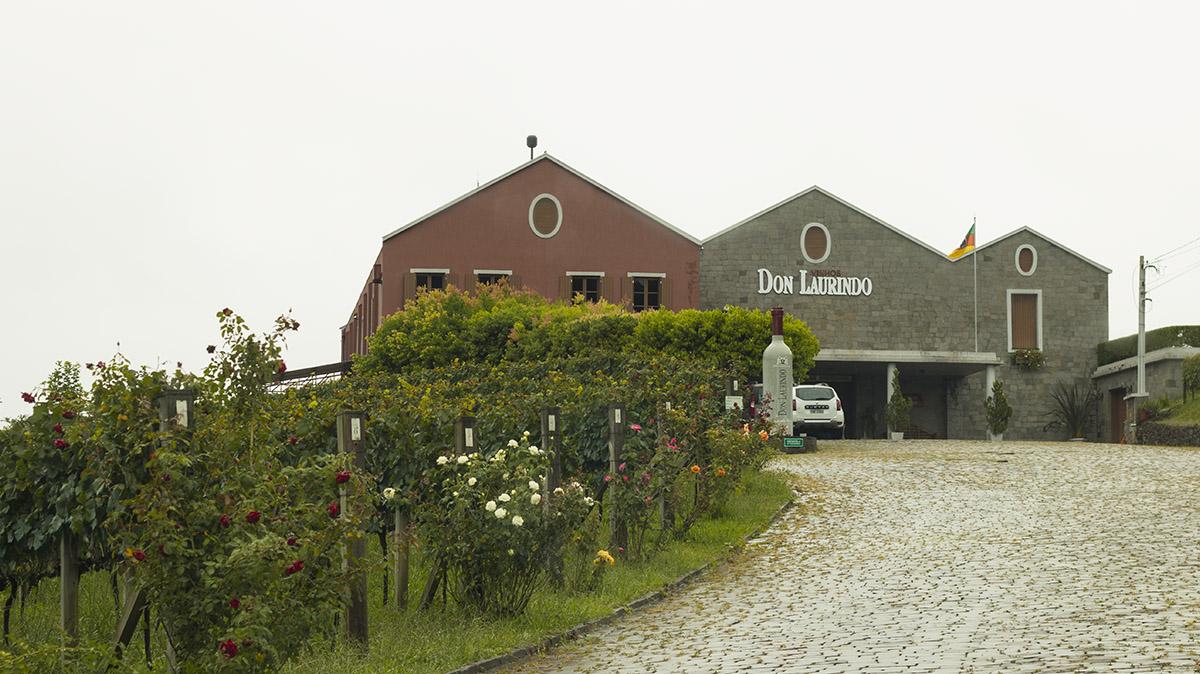 Vale dos Vinhedos, RS