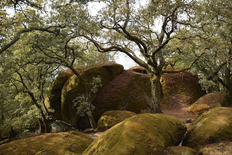 o que fazer em guimarães portugal 