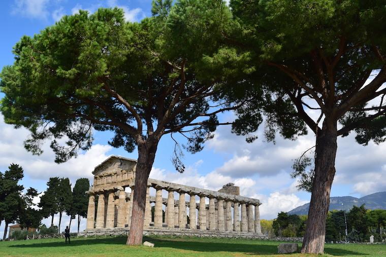 paestum italia templo e arvores