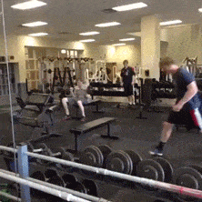 malhar academia