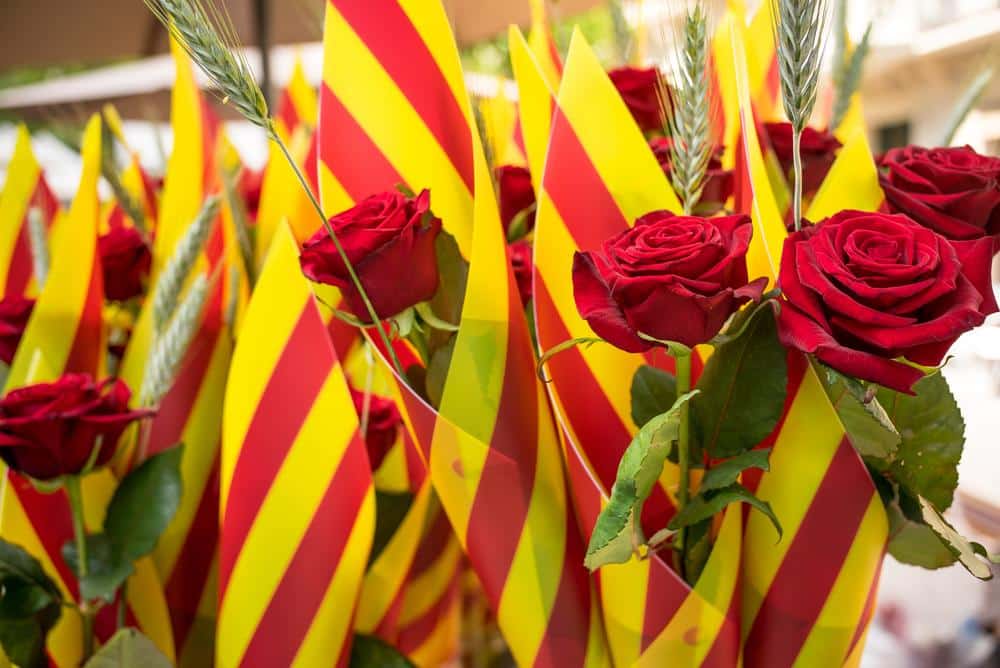 Flores Sant Jordi