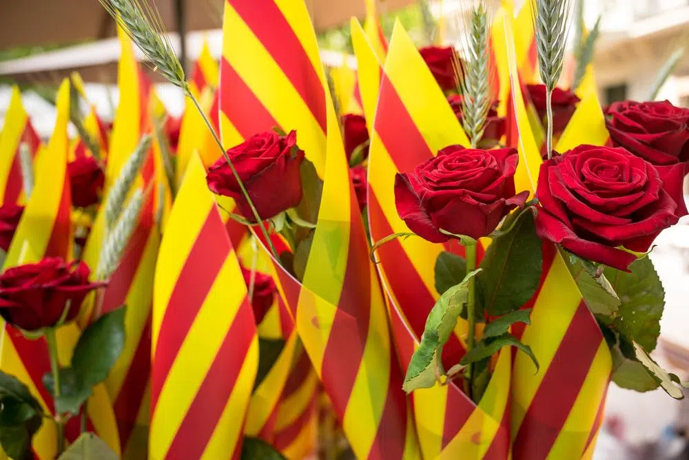 Flores Sant Jordi