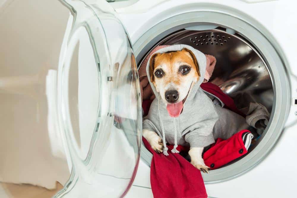 shutterstock_lavanderia