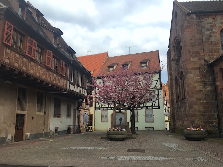 alsácia frança rota do vinho selestat