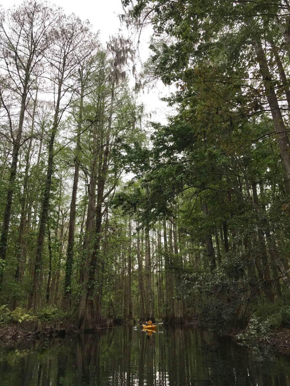 Kayaking Orlando