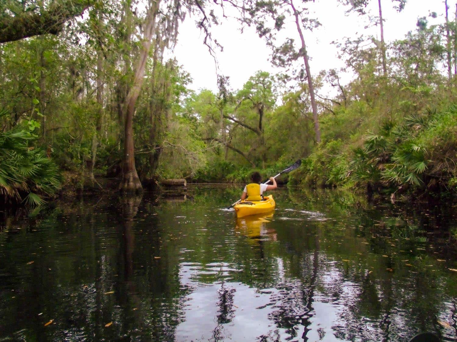 Natureza, aventura e kayaking perto de Orlando 360meridianos