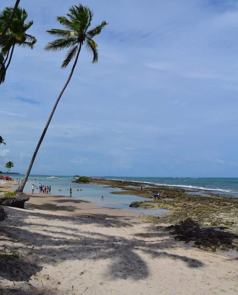 como chegar na praia dos carneiros pernambuco