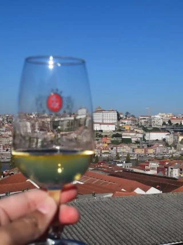 Os 14 tipos de vinho portugueses