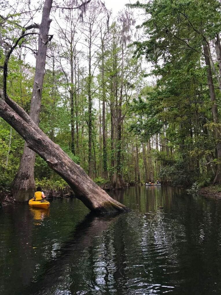 Kayaking perto da Disney, Orlando