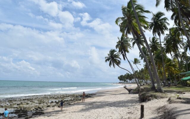 praia de carneiros pernambuco