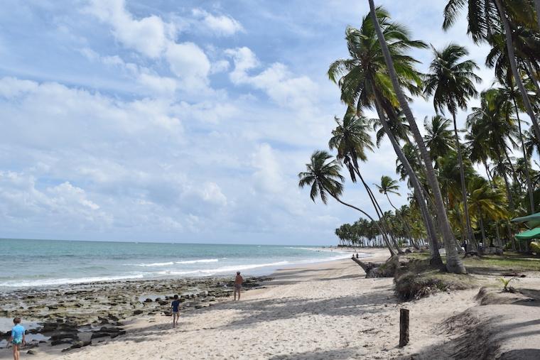 praia de carneiros pernambuco